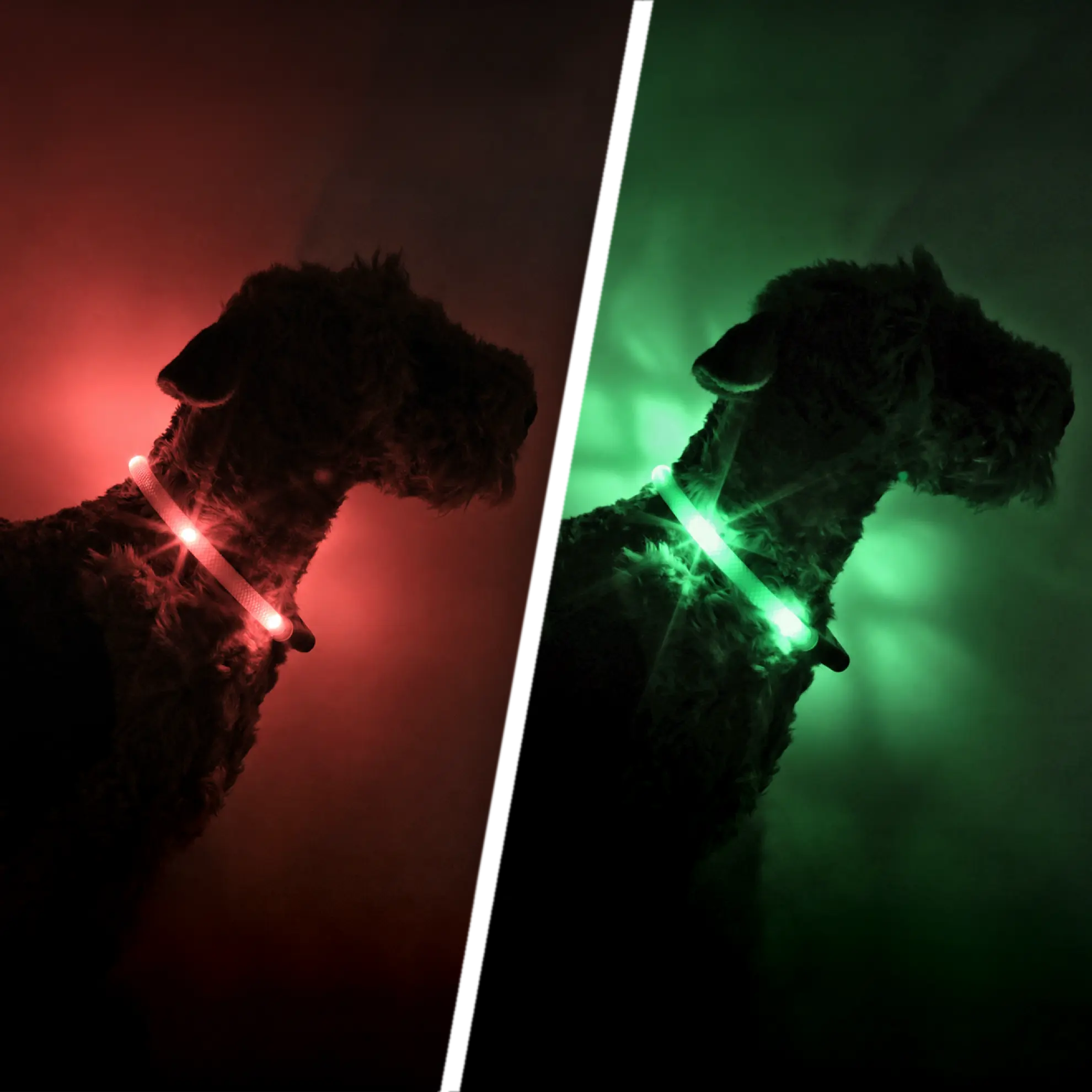 Two pictures of the same dog wearing LEUCHTIE Dog Collar in red and green in a dark room