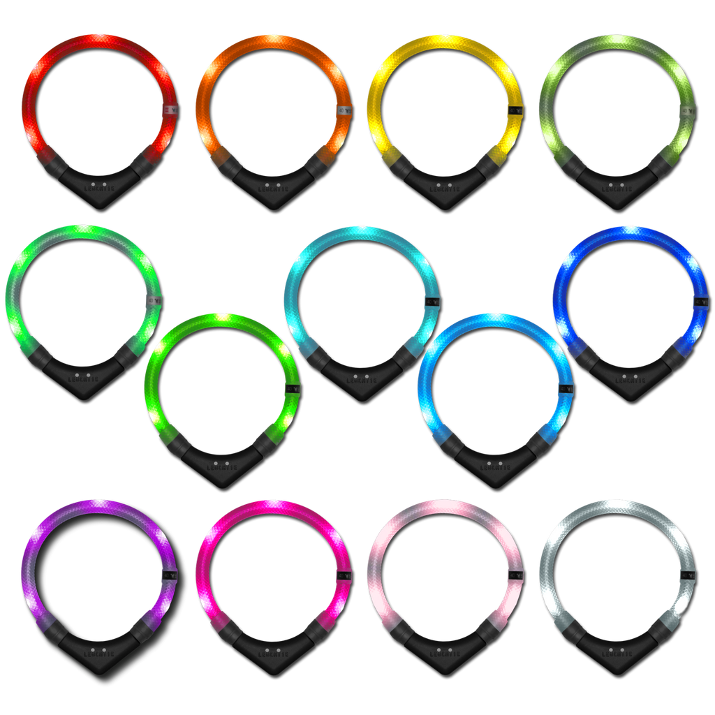 Leuchtie Easy Charge - Motion Sensor LED Dog Collar